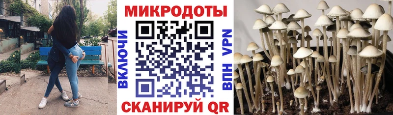 Галлюциногенные грибы прущие грибы  Шахты 